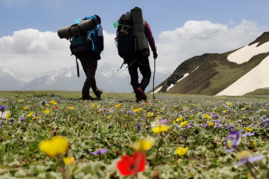 Rani Sui Lake Trek Image