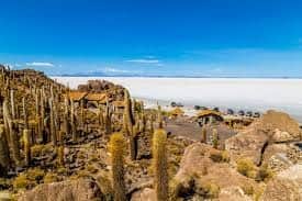 Isla Incahuasi, <em>Bolivia</em>