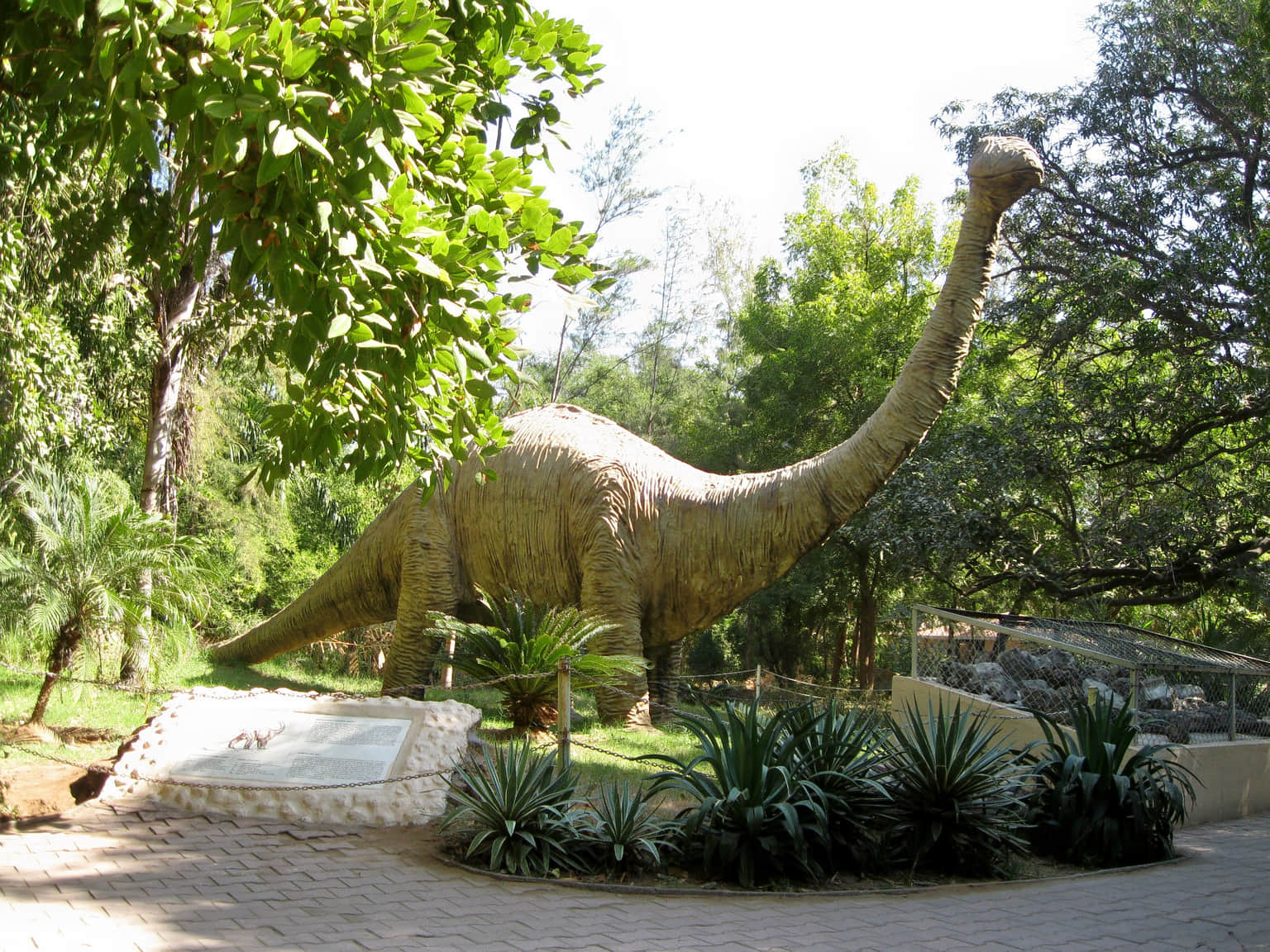 Indroda Nature Park, <em>Gandhinagar</em>