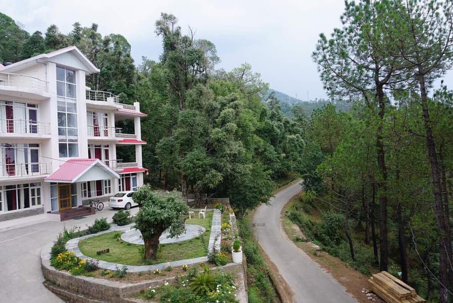 A Cosy Homestay amidst dense Deodar Forests of Mcleodganj  Image
