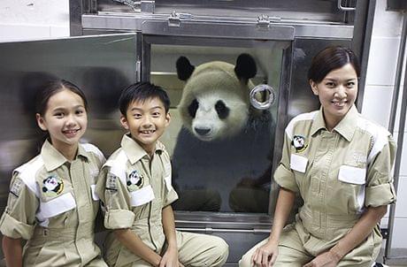 Honarary Panda Keeper