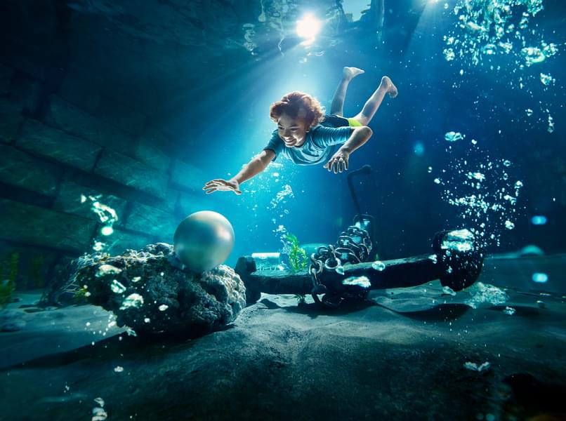 Dive and collect oysters to find a pearl