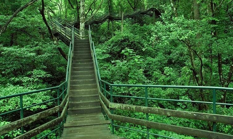 Murikkady