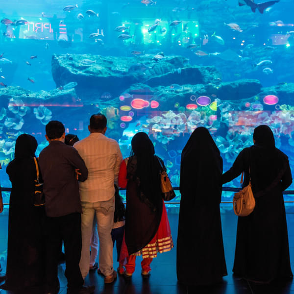 Explore sea creatures performing numerous activities like dancing, singing and painting 