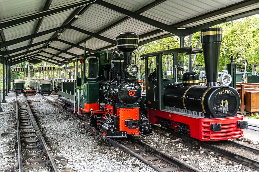 Take an adventurous ride on the toy trains 