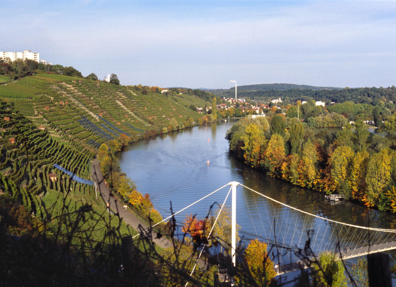 Neckar River Overview