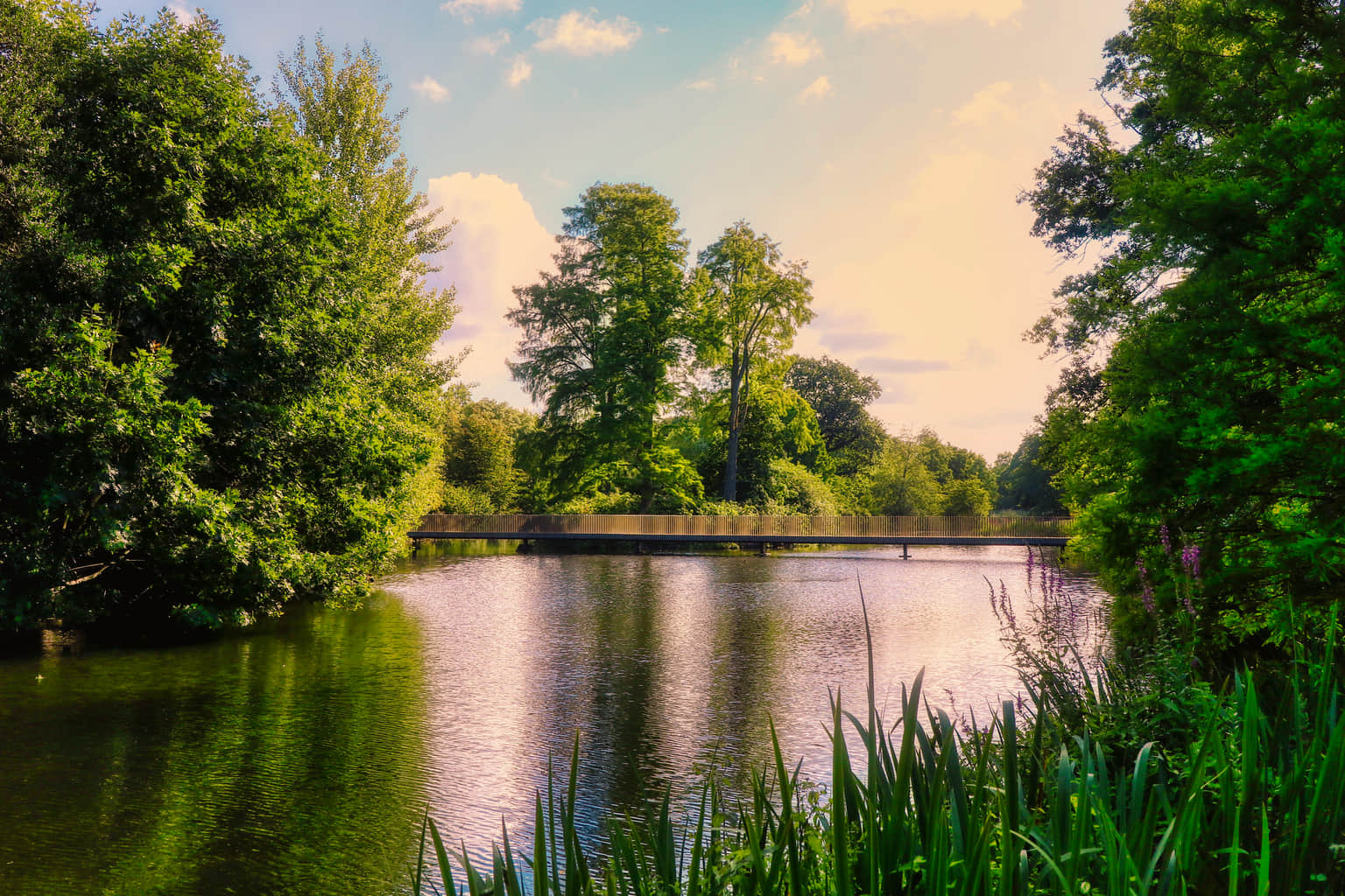 Sackler Crossing