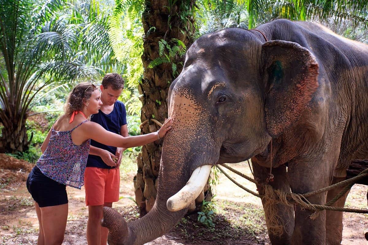 Sonchana Farm And Elephant Sanctuary