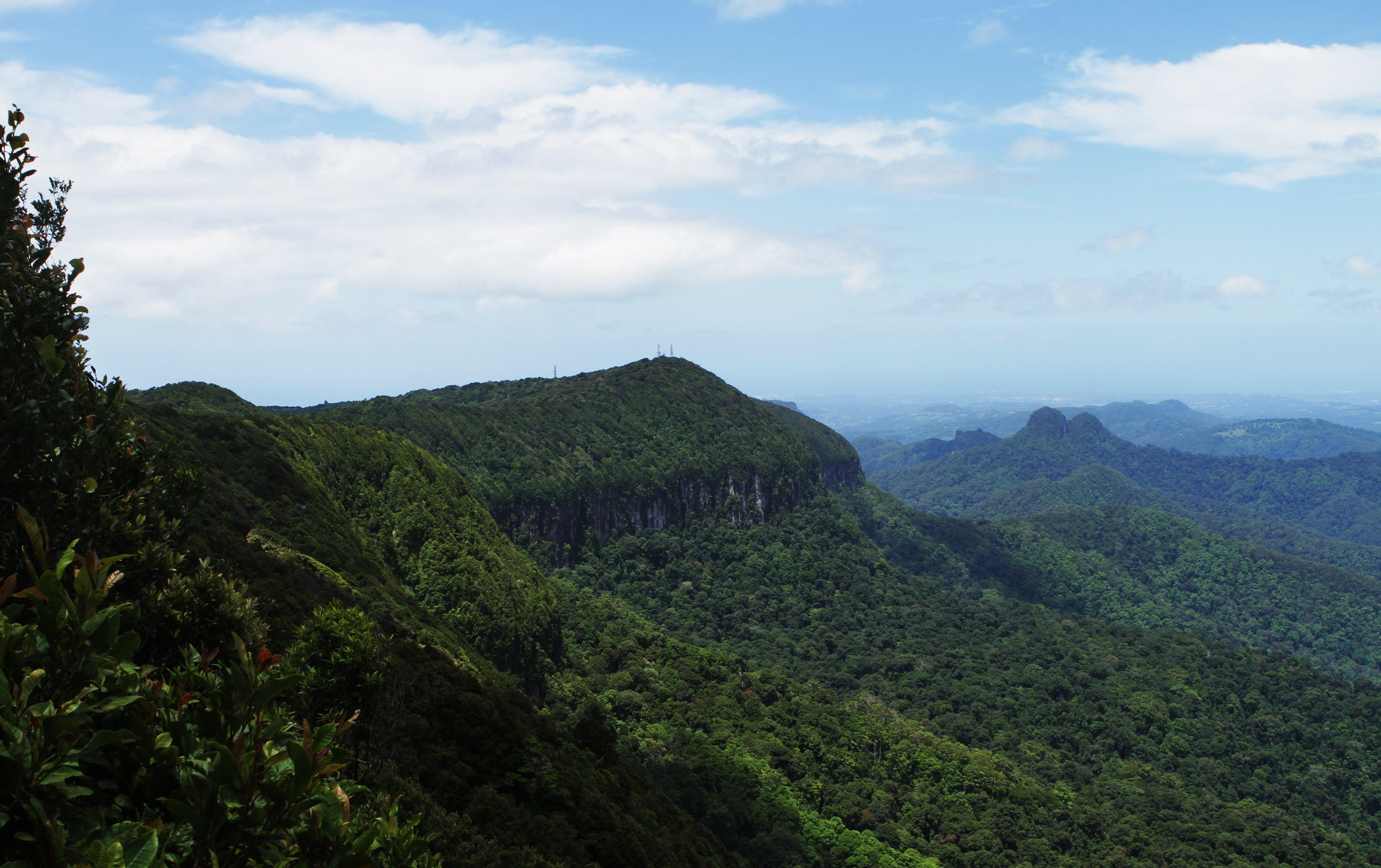 Springbrook National Park Tour