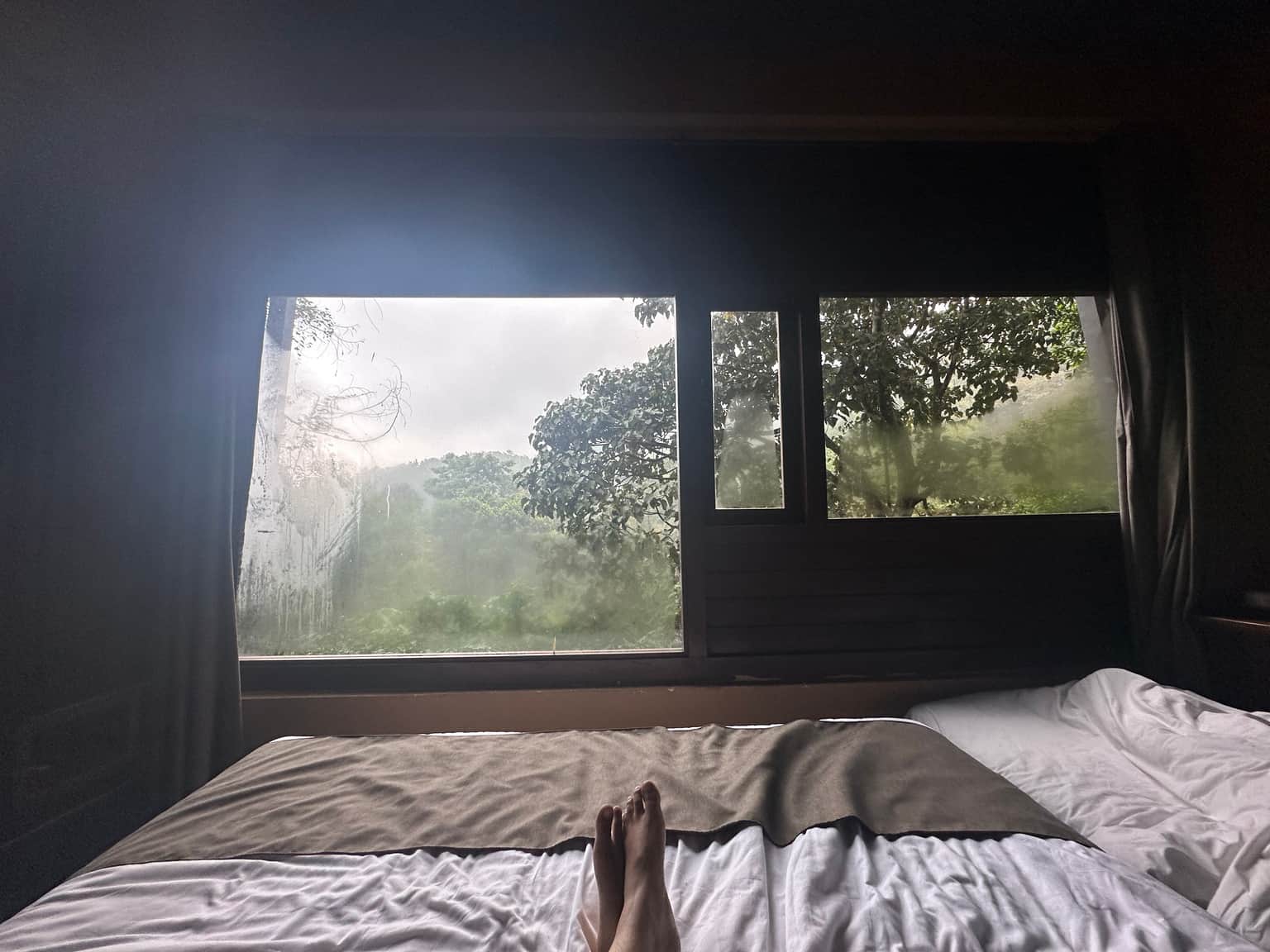 Traveller photo