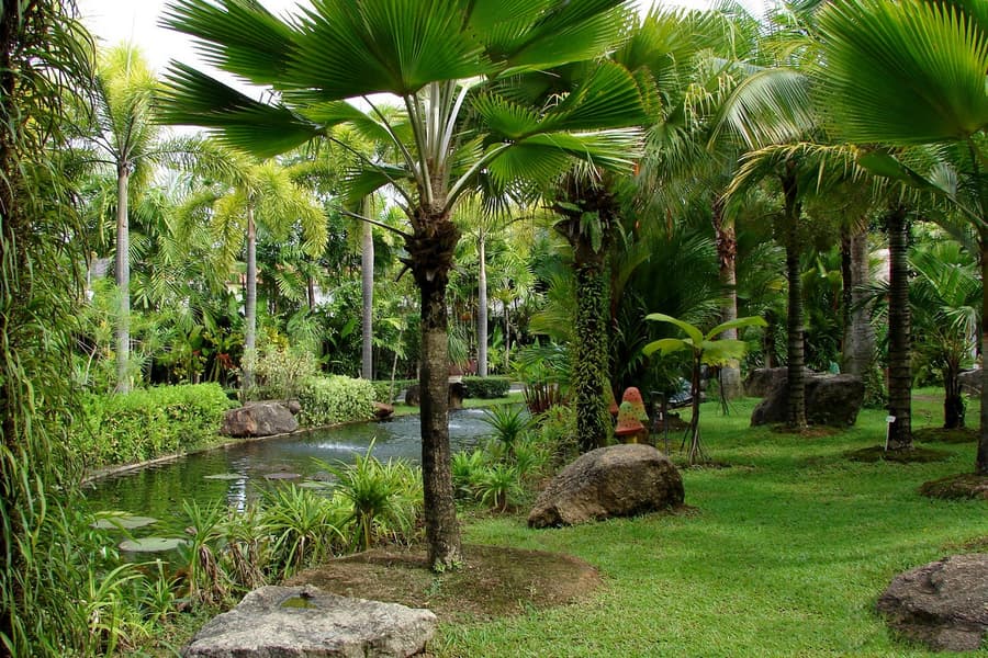 Phuket Botanic Garden Admission Ticket Image