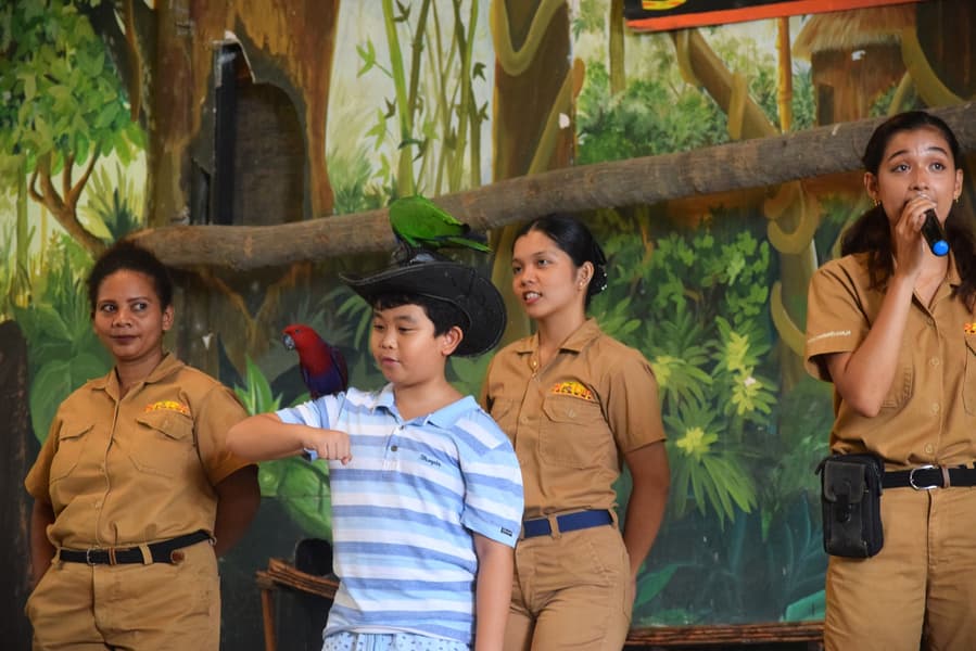 Zoobic Safari Tickets Image