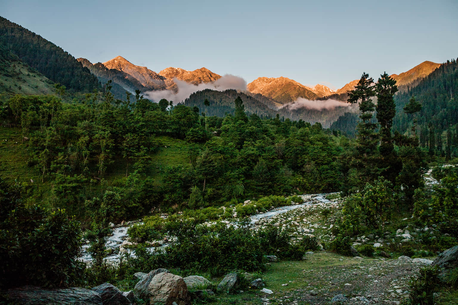 Chatpal, <em>Srinagar</em>