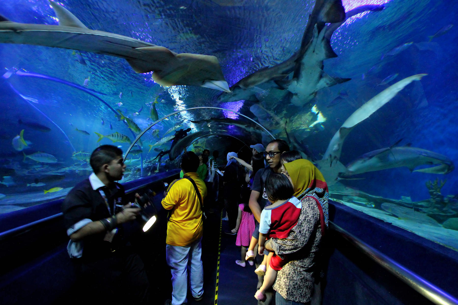 Aquaria KLCC, Malaysia