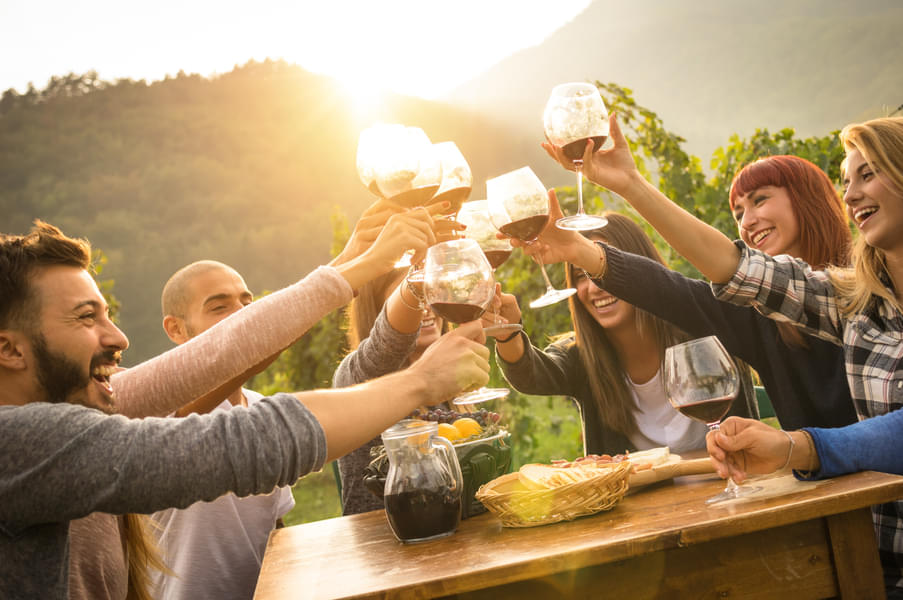 Mount Tamborine Wine Tasting Tours Image
