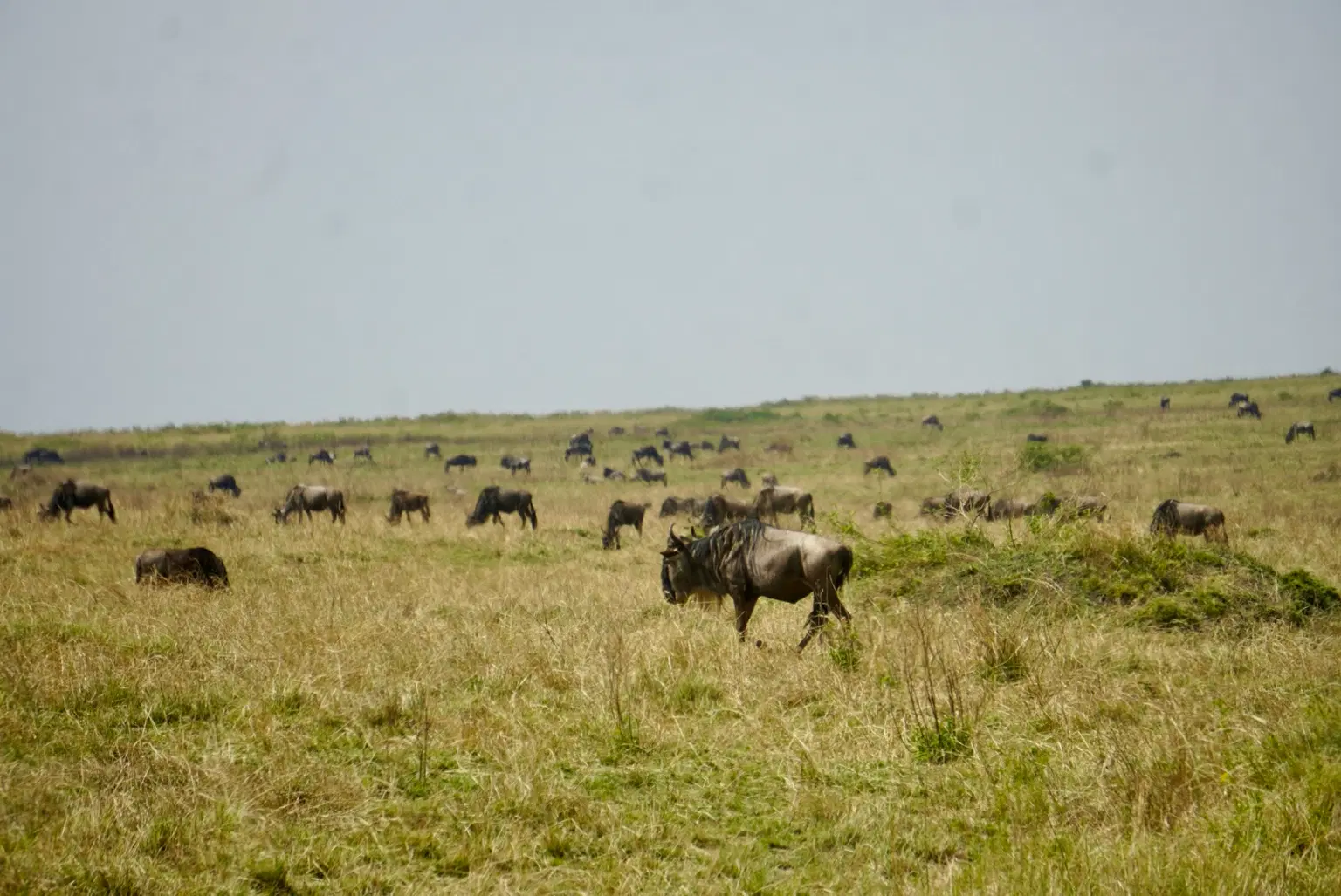Photo from Akshobhya Upadhya's trip
