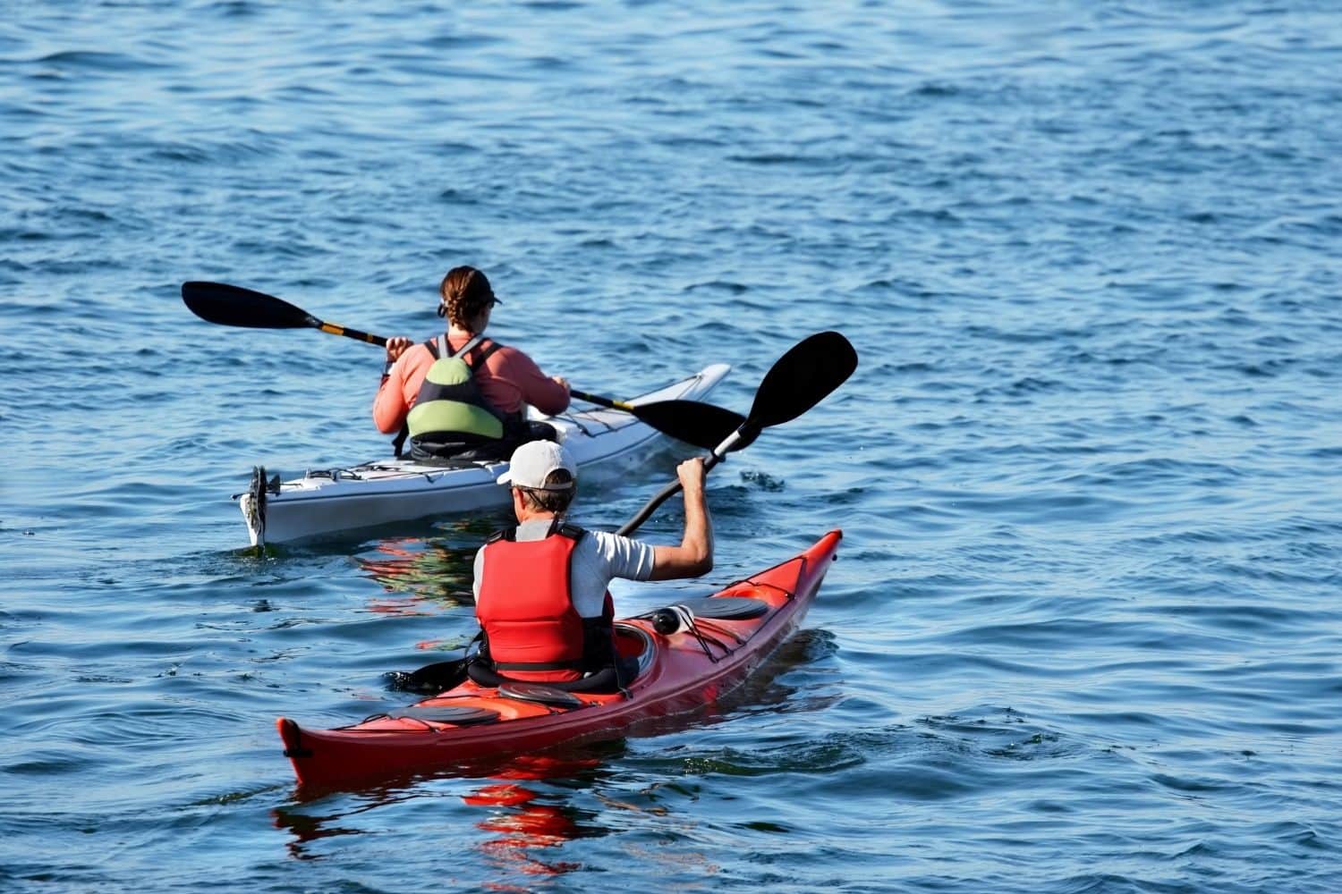 Engage in Water Sports
