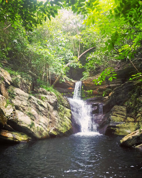 Nagalapuram Camping Experience With Waterfall Trek Image