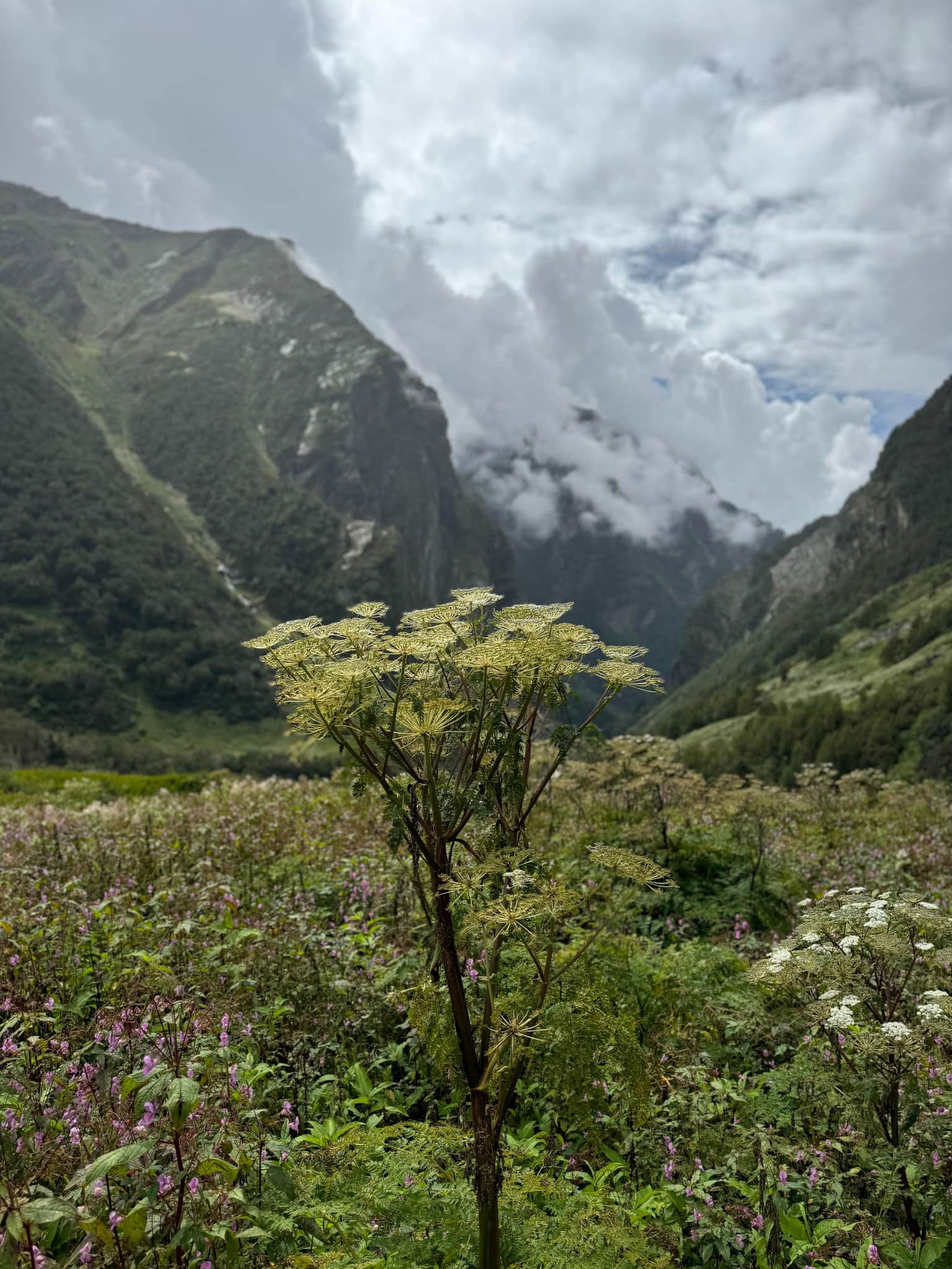Photo from Jayanti Madhei's trip