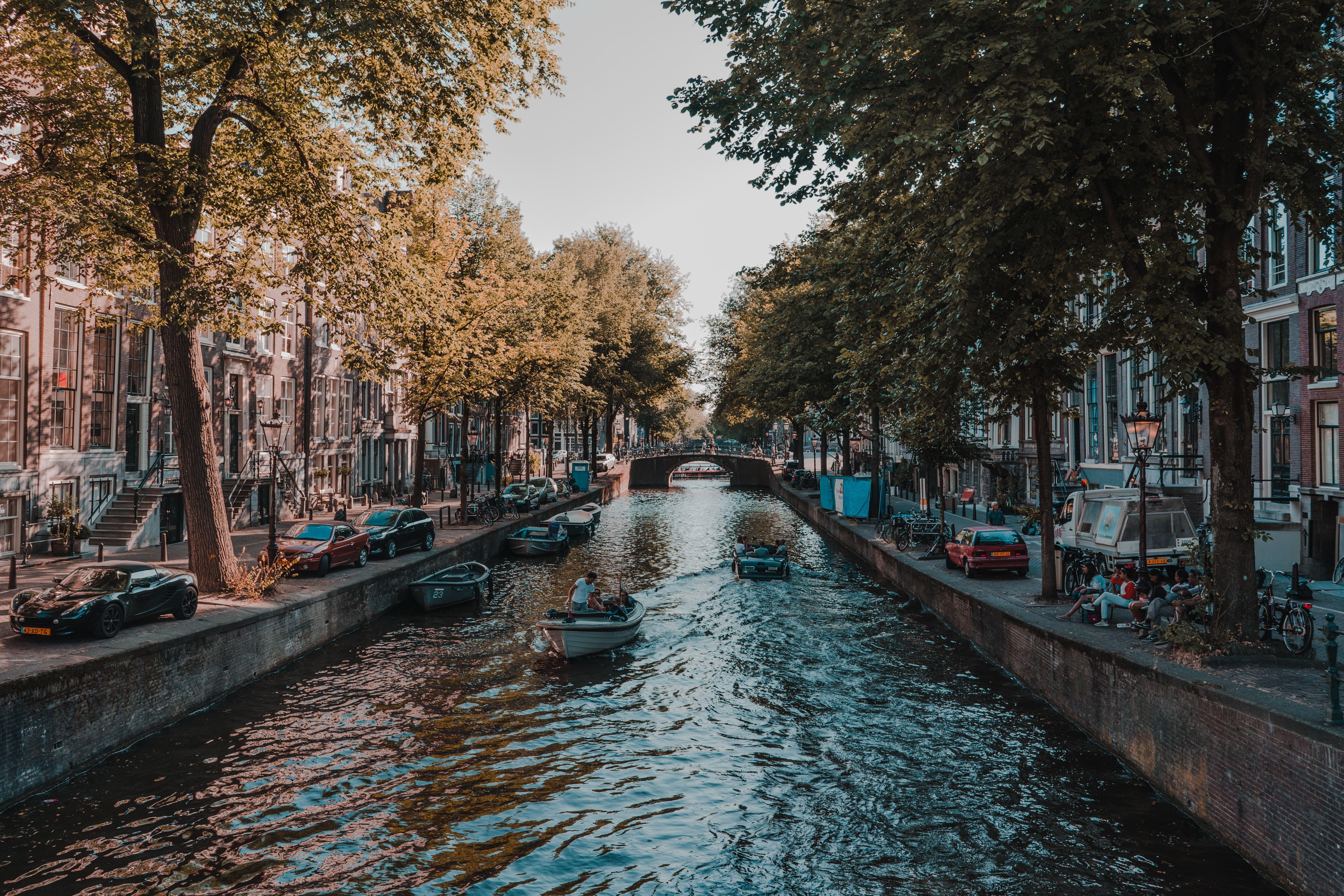 Things to Do in Amsterdam 