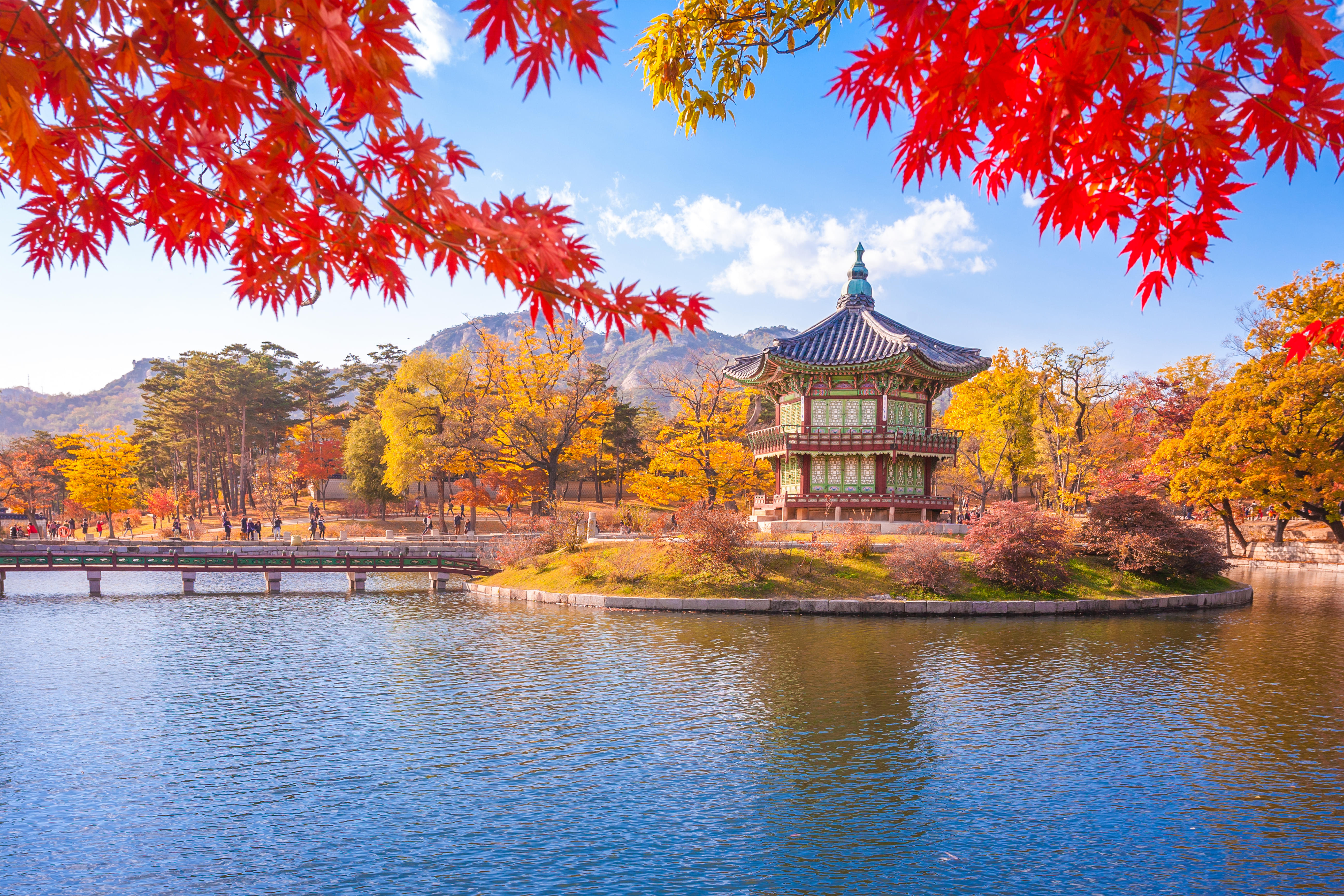 South Korea Packages from Pune | Get Upto 50% Off