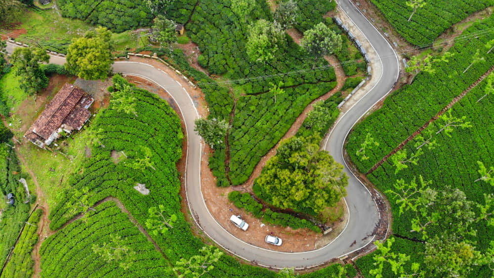 Adventure Things to Do in Ooty