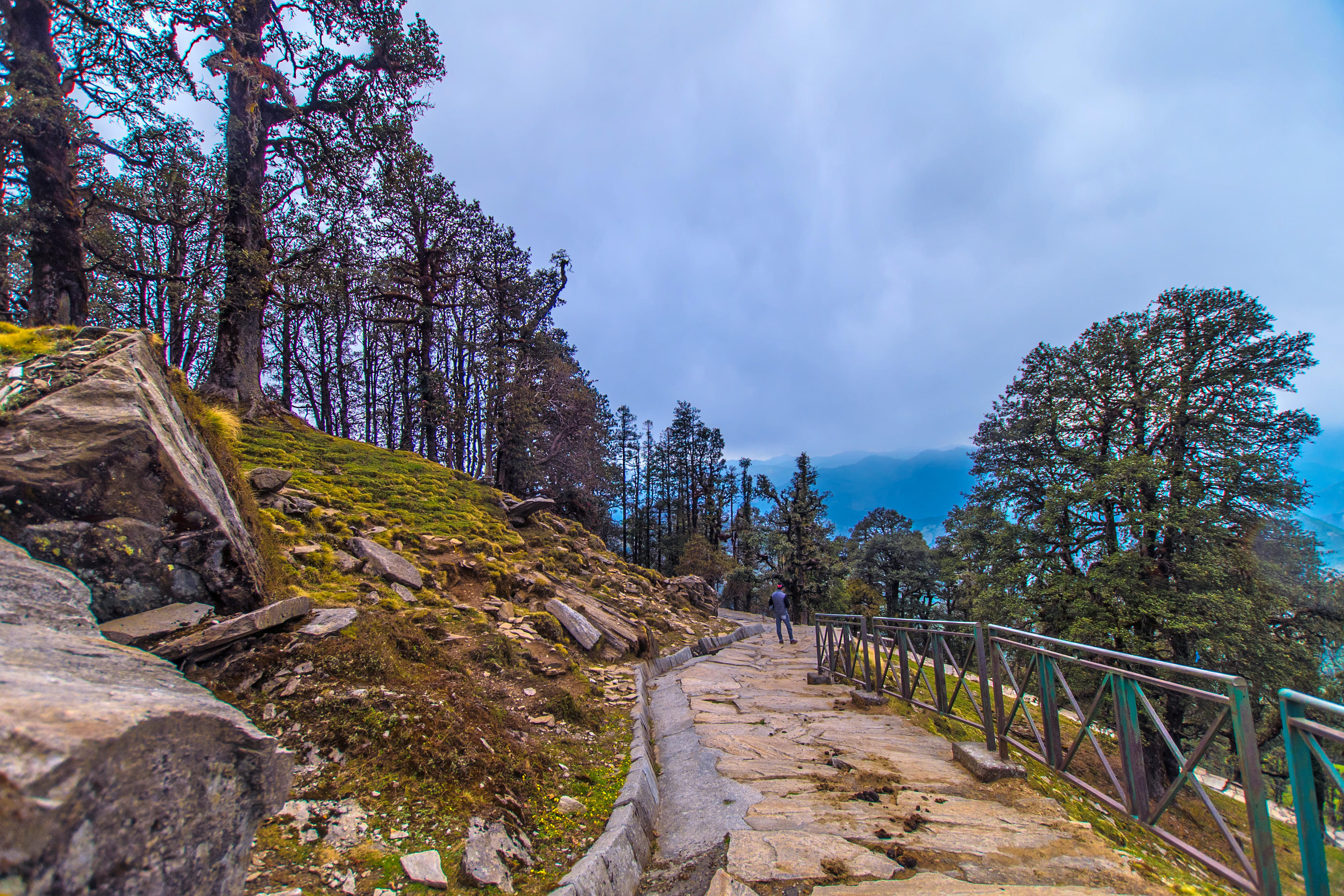 Chandrashila Trek, Uttarakhand - Book Now | Hey Himalayas