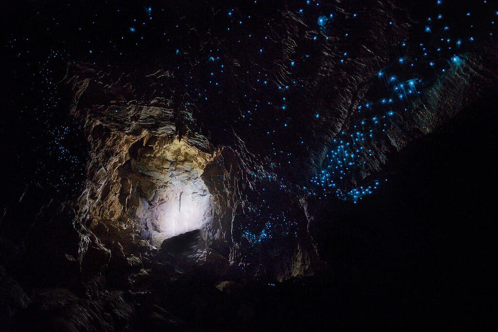 Explore the mesmerizing Glowworm Grotto