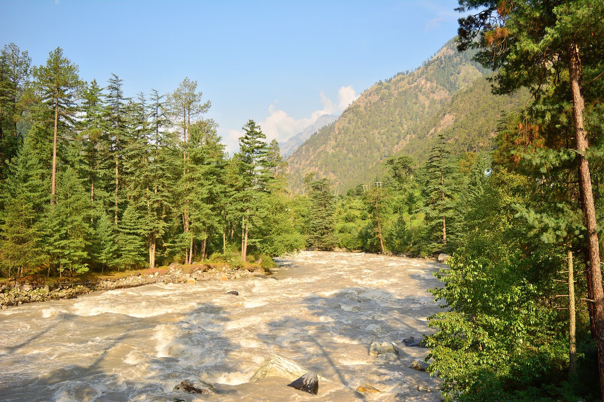 Kasol To Malana Trek #5