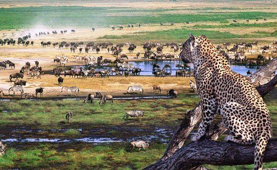 Ngorongoro And Serengeti