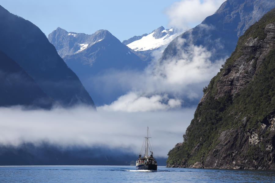 Milford Sound Cruise in Fiordland Image