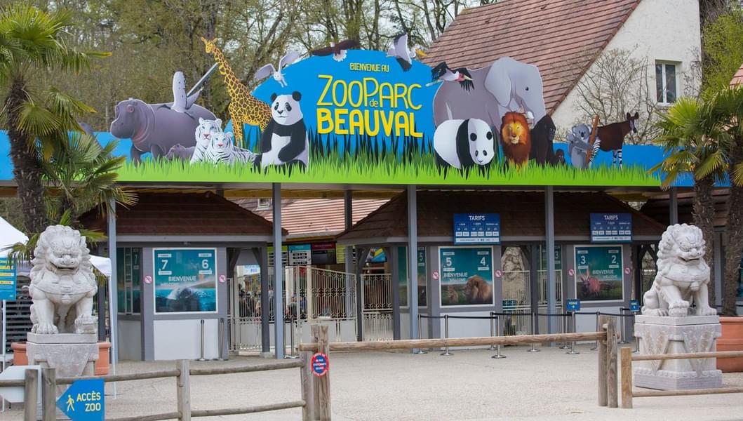 Visit one of the top zoo of France, Beauval Zoo with your loved ones
