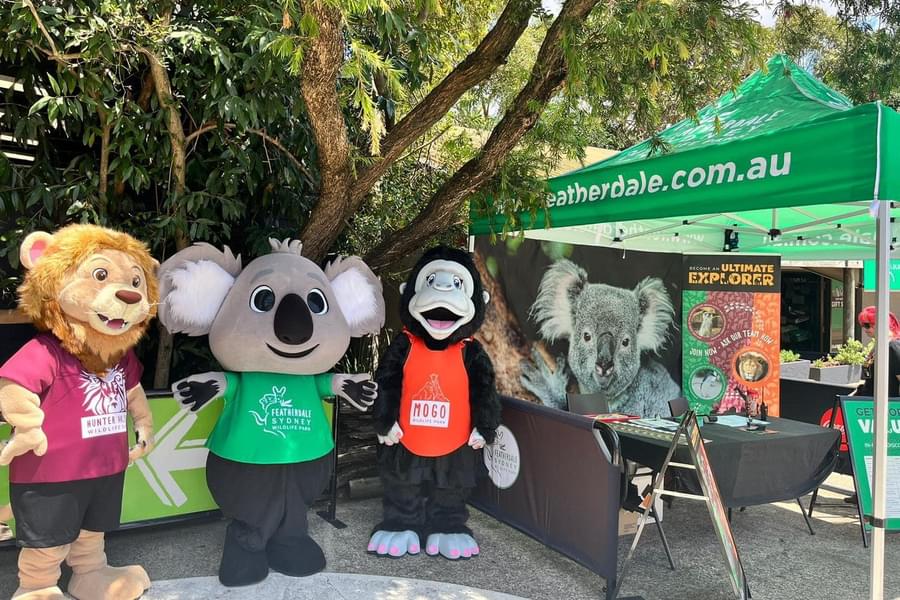Featherdale Sydney Wildlife Park Tickets Image