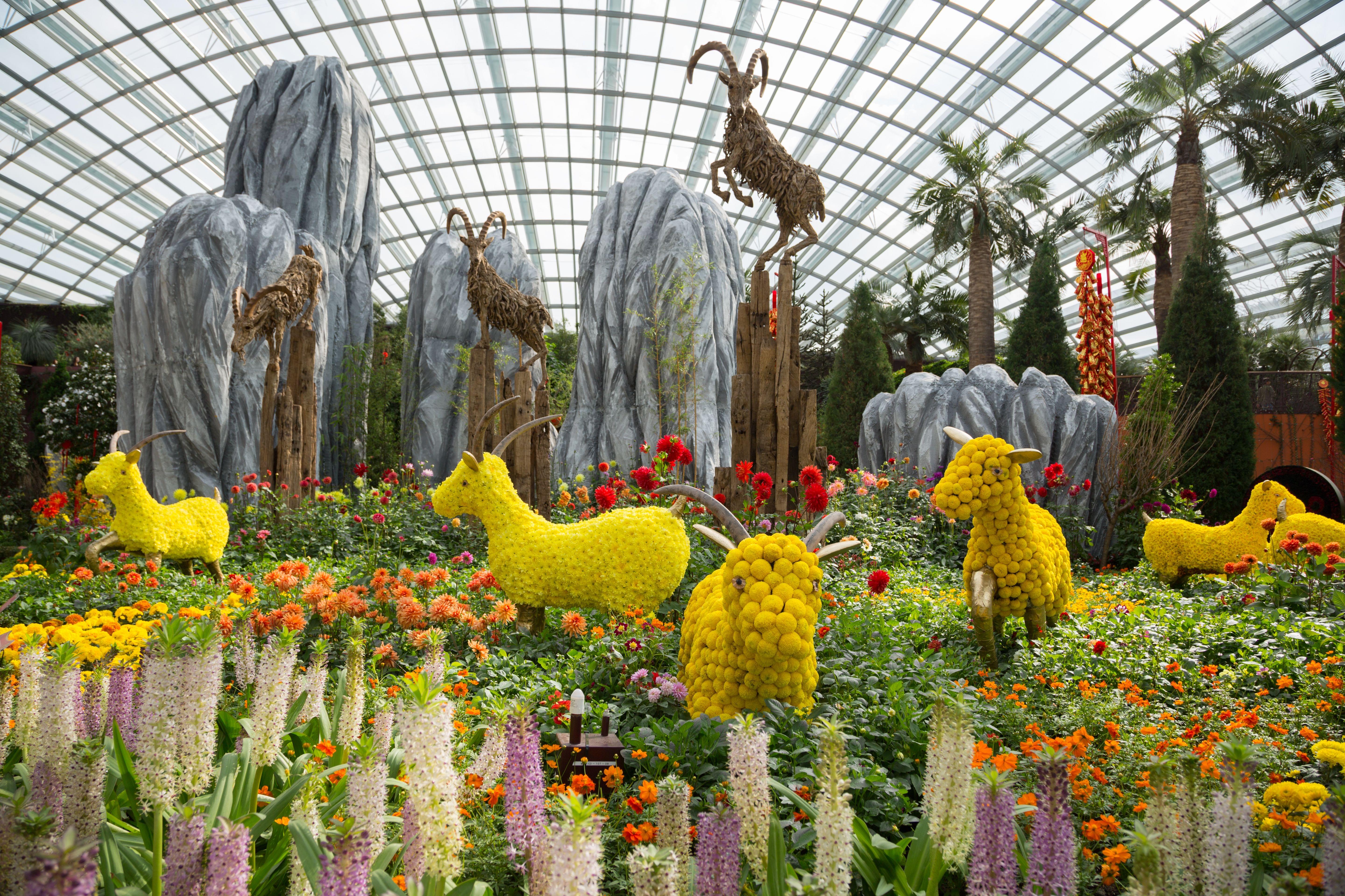 Flower Dome Garden By the Bay