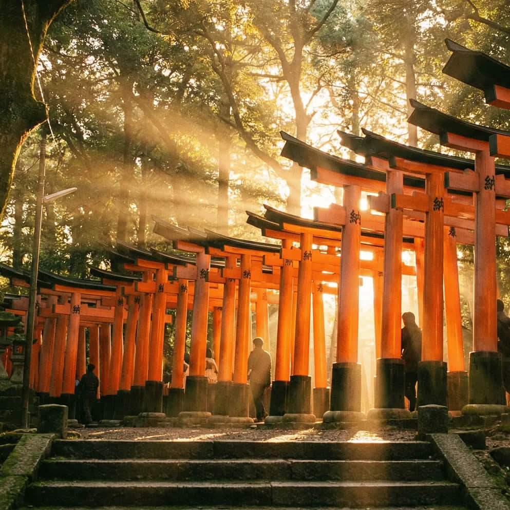 Fushimi Inari at dawn