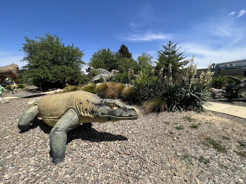 National Dinosaur Museum Tickets Image