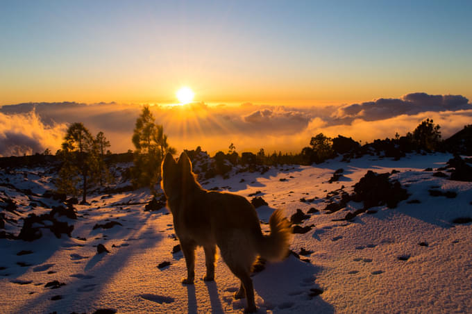 Teide Sunset 