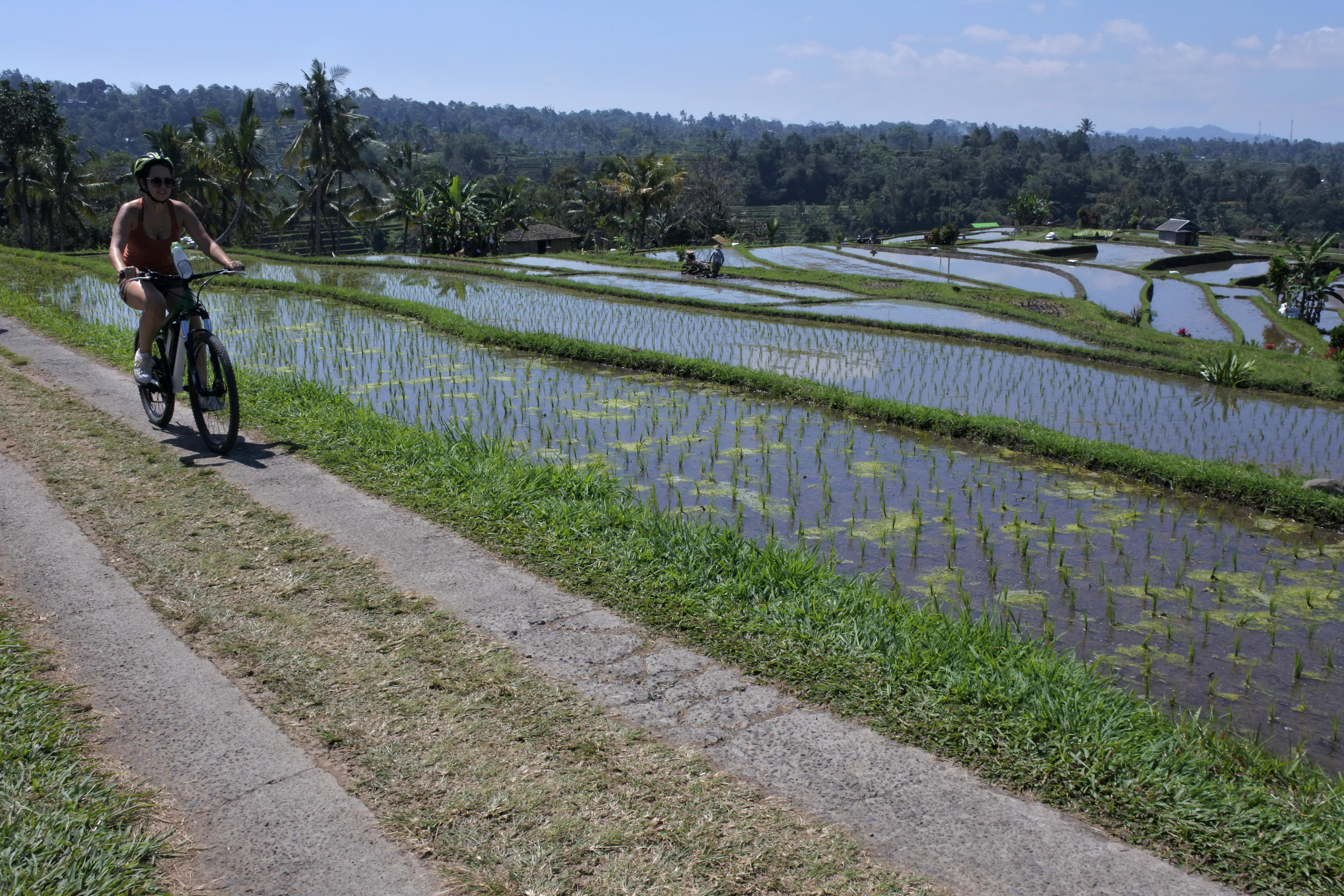 Take a cycling tour to explore the Tegalalang Rice Terrace