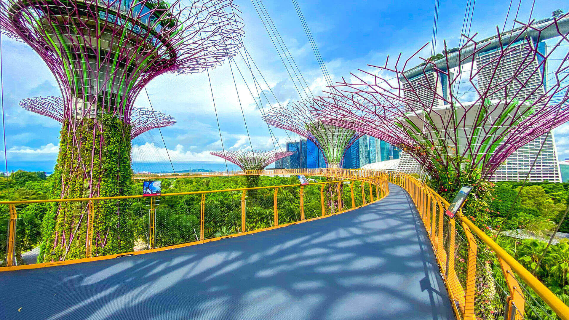 OCBC Skyway- Gardens By the Bay Overview