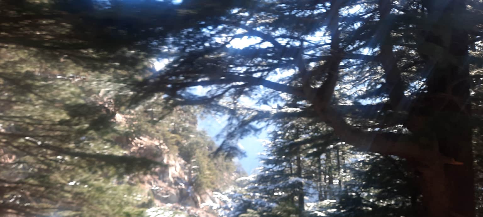 Photo from Purva Mandloi's trip