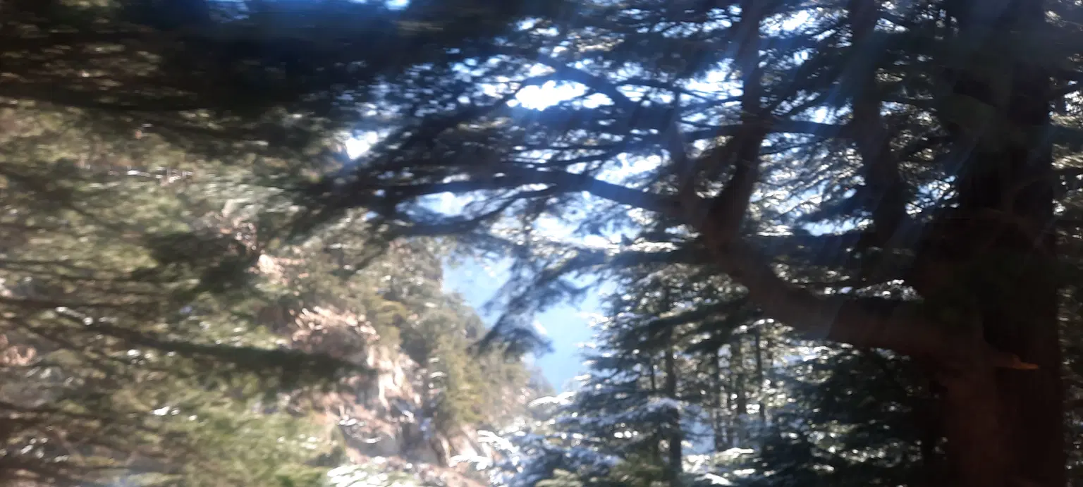 Photo from Purva Mandloi's trip