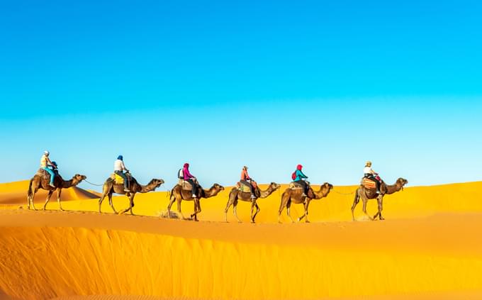 camel trekking dubai