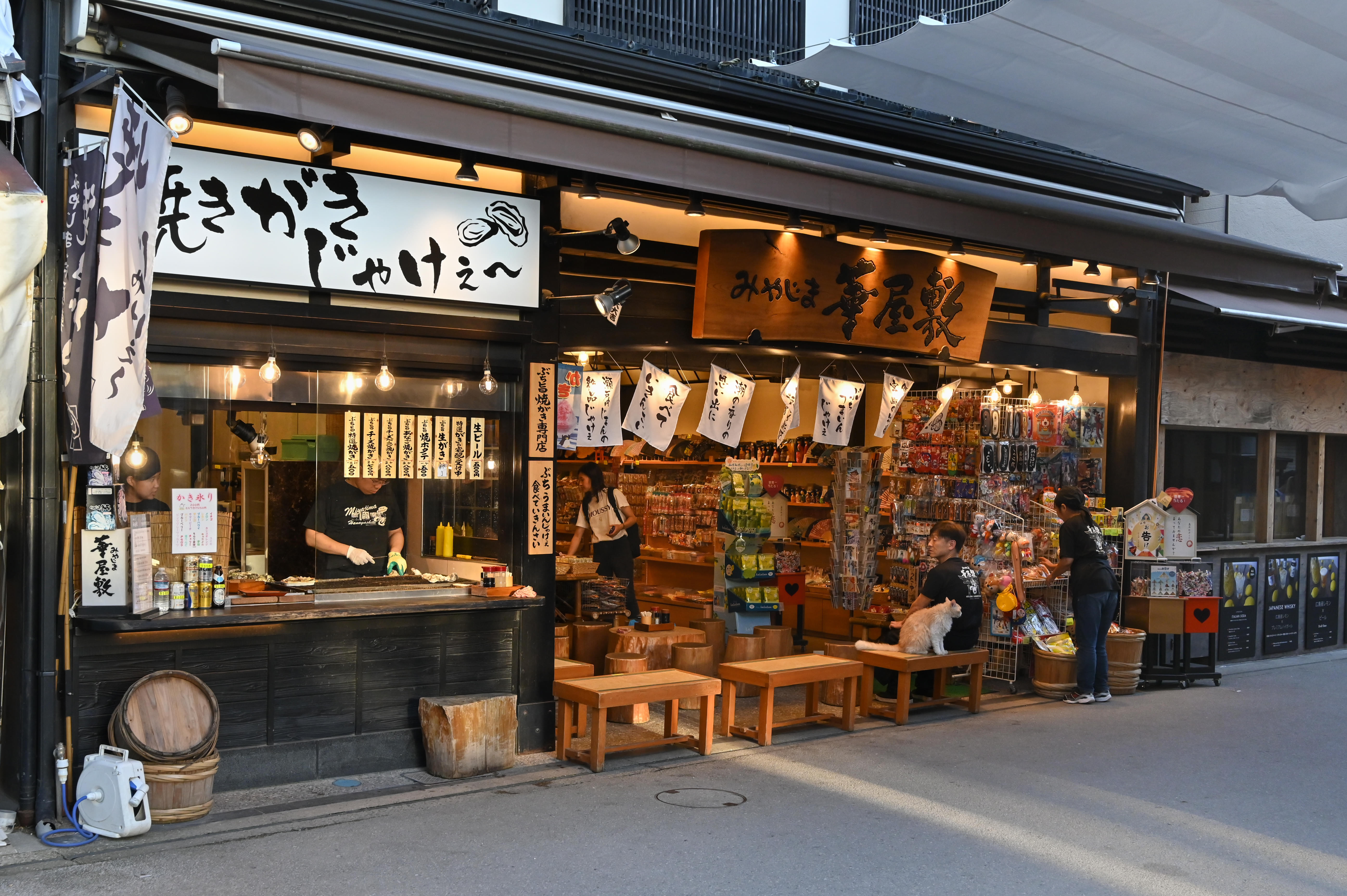 Hiroshima Tour Packages