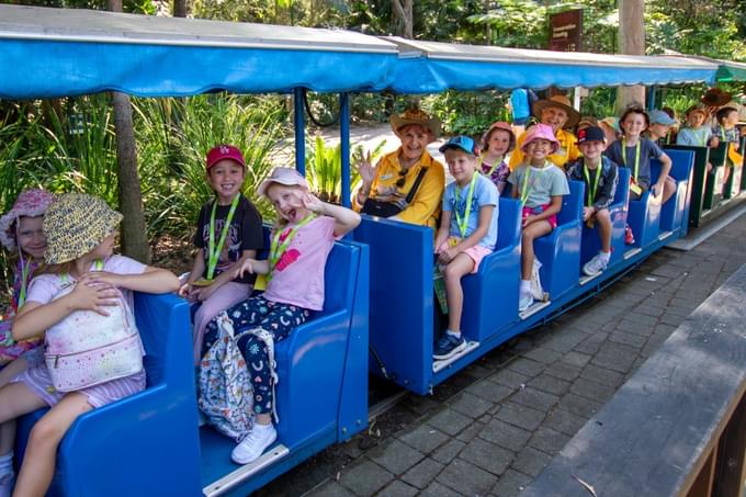 Embark on a scenic train rides through the sanctuary’s lush landscapes