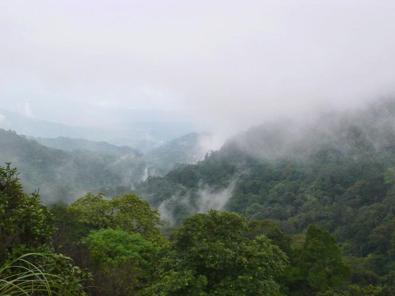 Visit Bramhagiri Wildlife Sanctuary