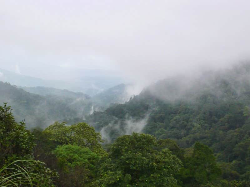 Visit Bramhagiri Wildlife Sanctuary