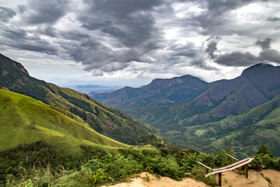 Top Station Camping in Munnar​ Image