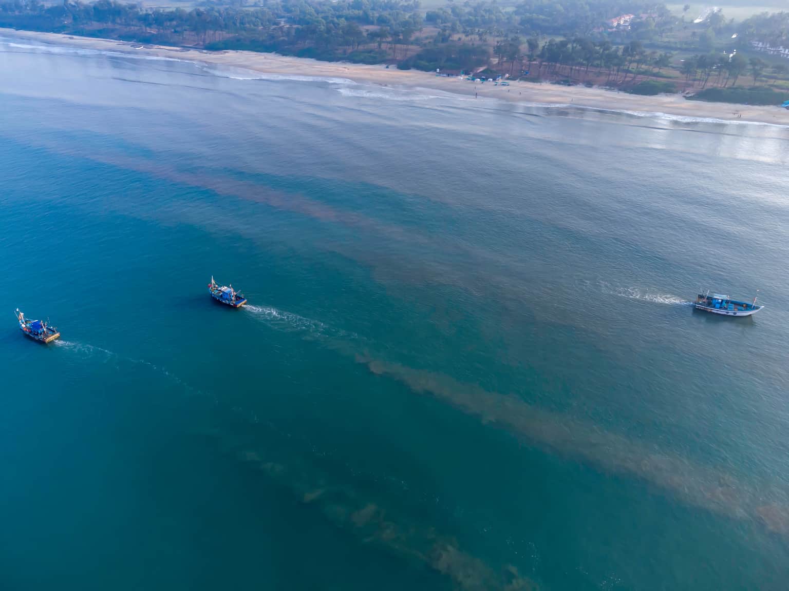 Betalbatim Beach, <em>South Goa</em>