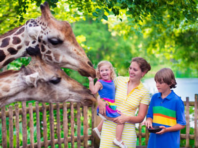 Combo Pack - Singapore Zoo and Science Center with Butterflies Up Close