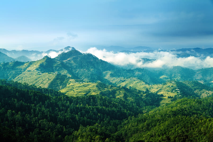 Almora Tour Package from Dehradun Image